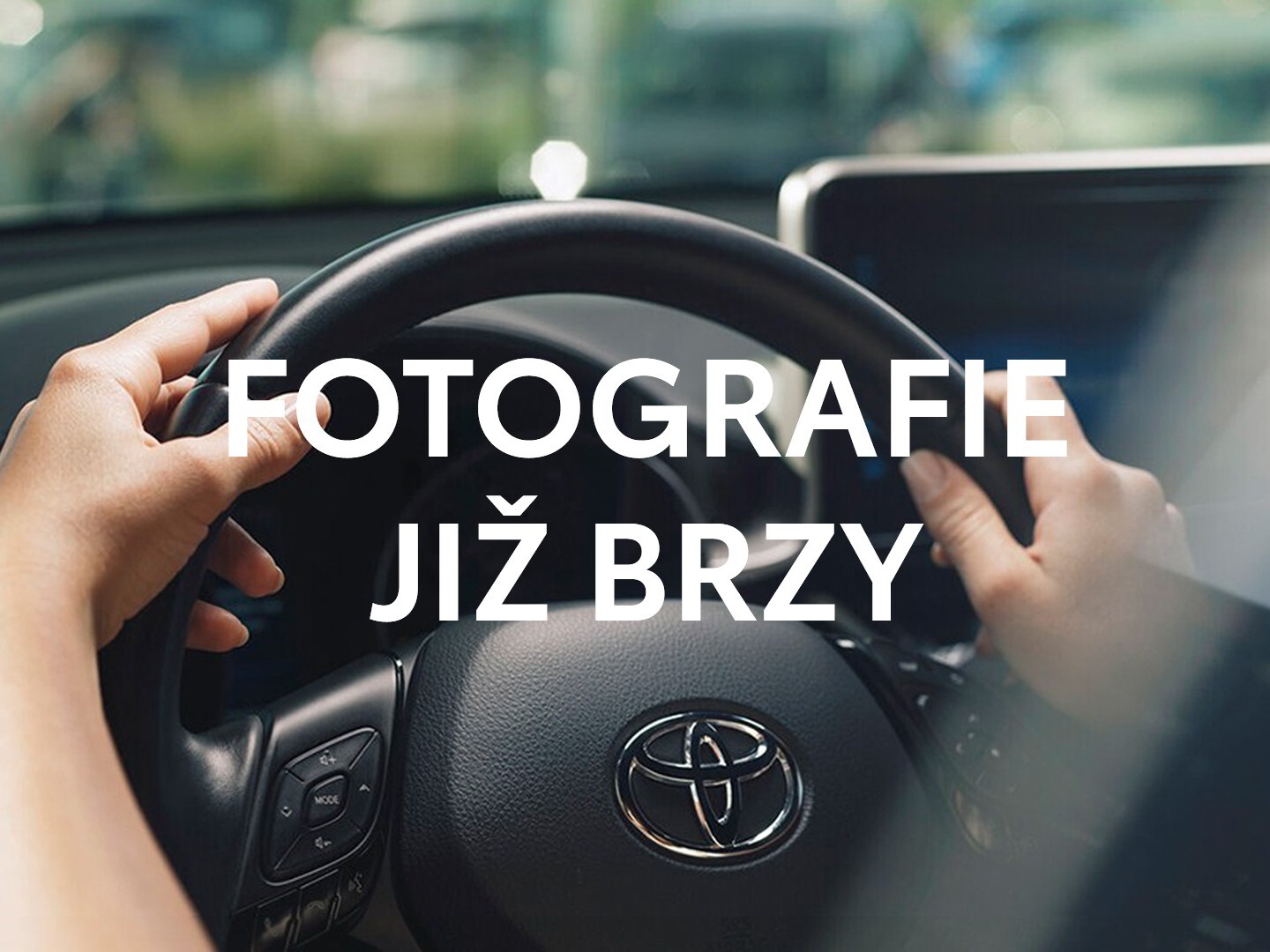 Bez fotografie
