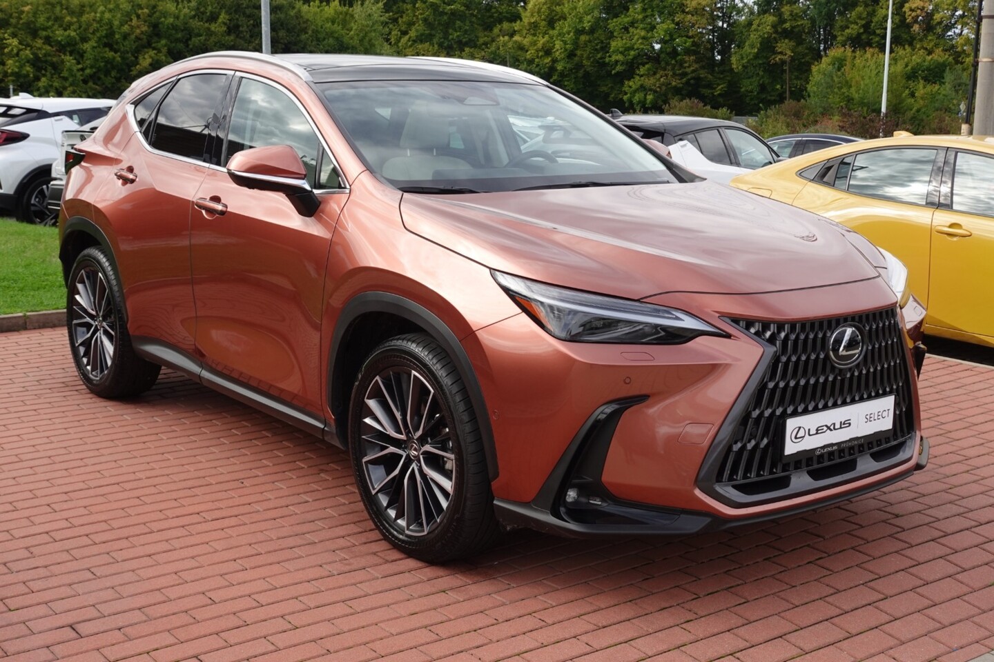 Lexus NX