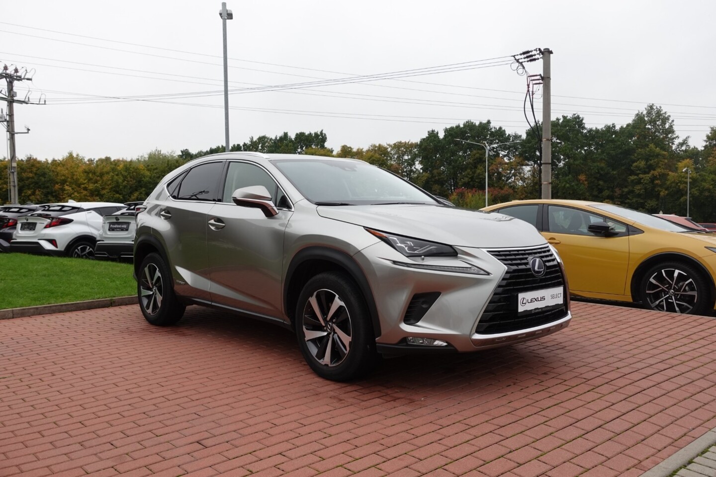 Lexus NX
