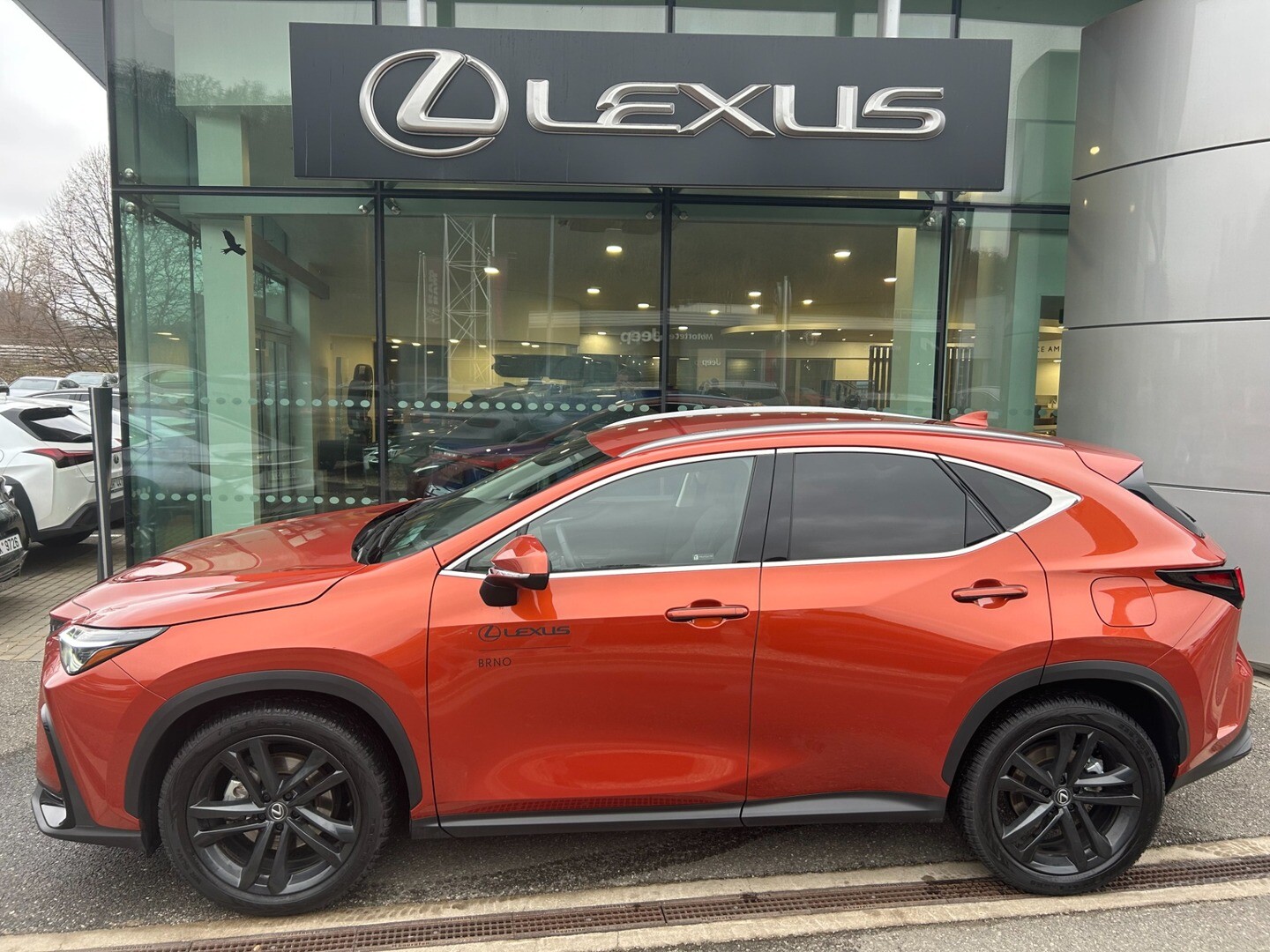 Lexus NX