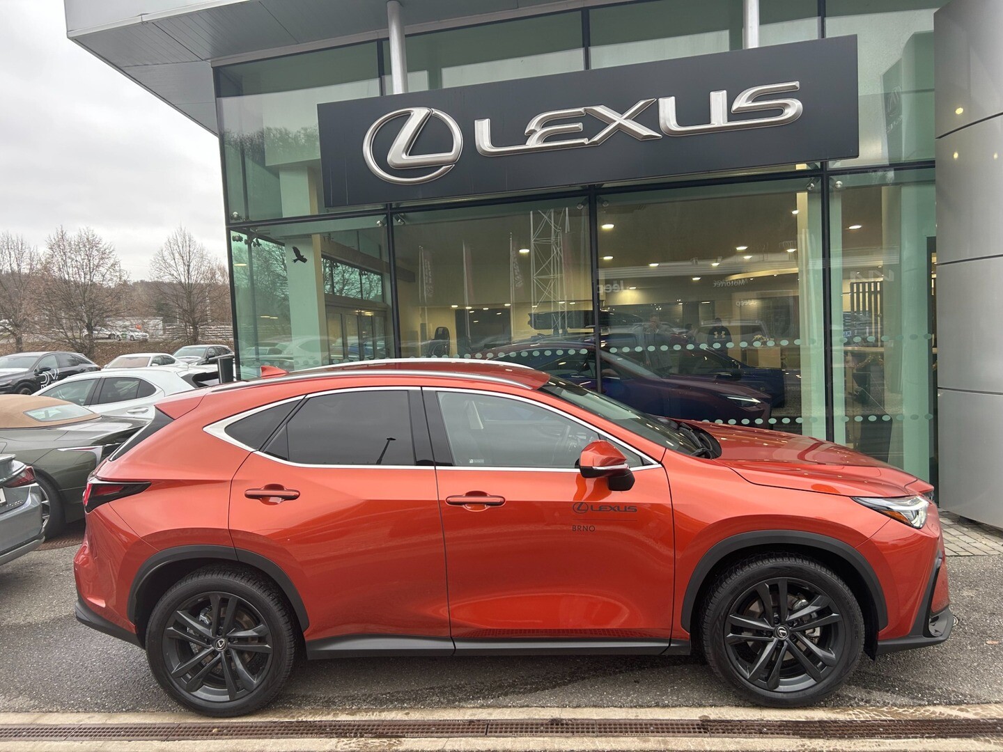 Lexus NX